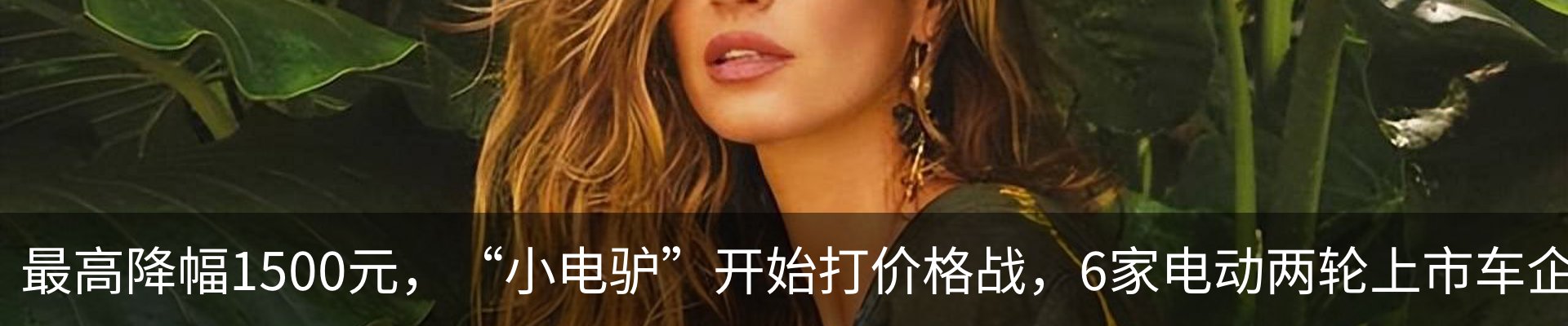 行业资讯